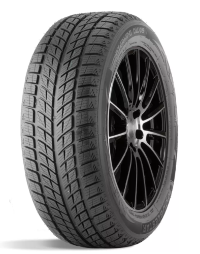 275/45R20 DoubleStar DW09 110H